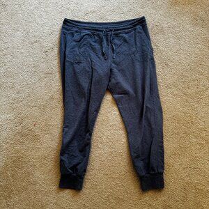 Patagonia Organic Cotton French Terry Joggers. Size L